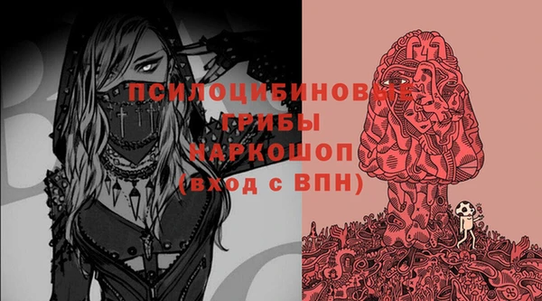 a pvp Архангельск