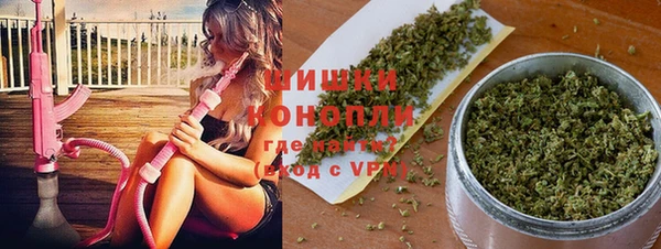 мет Ладушкин