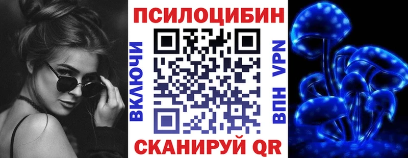 Псилоцибиновые грибы Psilocybe  где купить наркоту  Северск 